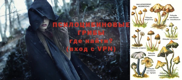 эйфоретик Володарск